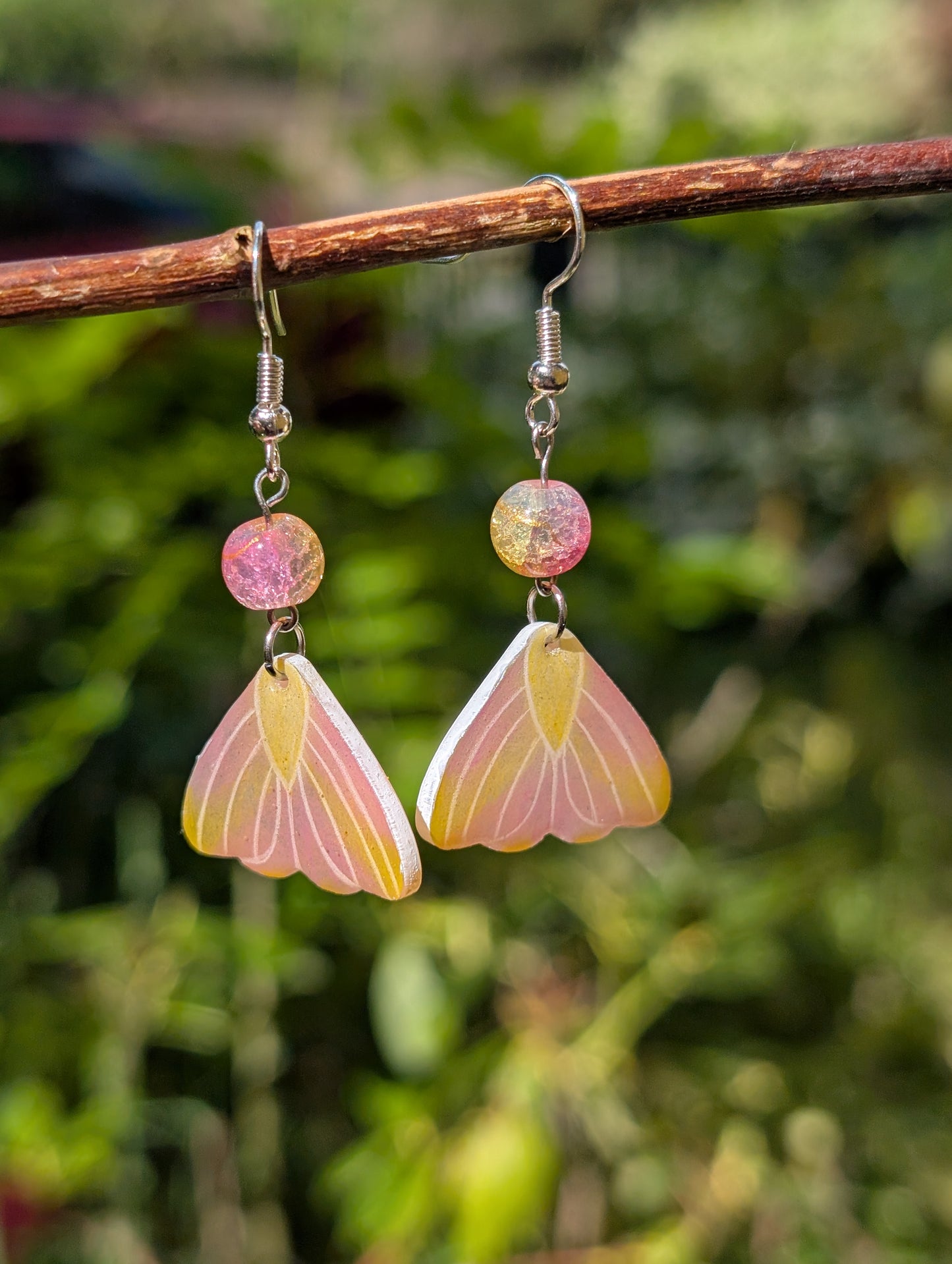 Maple Moth Set