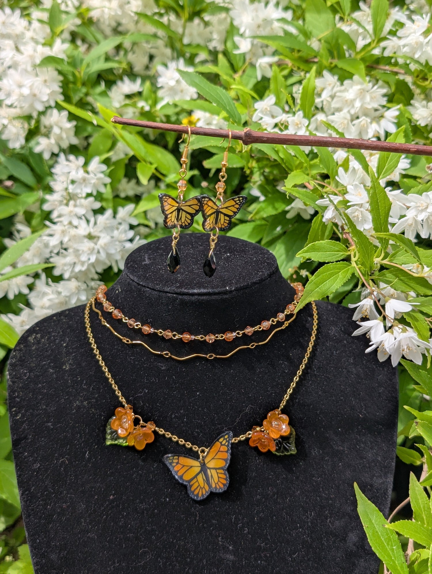 Monarch Butterfly